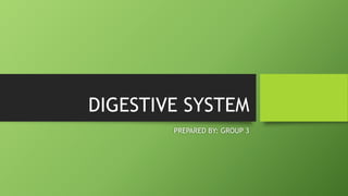 DIGESTIVE SYSTEM
PREPARED BY: GROUP 3
 