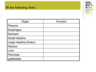 fill the following chart . gallbladder Pancreas Liver Rectum Large intestine (Colon) Small intestine Stomach Esophagus Pharynx Function Organ 