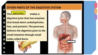 OTHER PARTS OF THE DIGESTIVE SYSTEM
The makes a
digestive juice that has enzymes
that break down carbohydrates,
fats, and proteins. The pancreas
delivers the digestive juice to the
small intestine through small
tubes called ducts.
pancreas
 