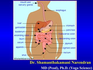 Dr. Shamanthakamani Narendran
MD (Pead), Ph.D. (Yoga Science)
 