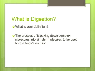 Digestive Systems PPT Digestive Systems 4 320 