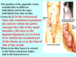 digestive 3.pptxpfanatomy small intestine and | PPTX