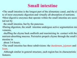 Small intestine
•The small intestine is the longest part of the alimentary canal, and the si
te of most enzymatic digestion and virtually all absorption of nutrients.
•Most digestive enzymes that operate within the small intestine are secre
ted not by
the small intestine, but by the pancreas.
•During digestion, the small intestine undergoes active segmentation mo
vements,
shuffling the chyme back andforth and maximizing its contact with the
nutrient-absorbing mucosa. Peristalsis propels chyme through the small i
ntestine in
about 3-6 hours.
•The small intestine has three subdivisions: the duodenum, jejunum and i
leum.
Although similar in general structure, each region has its characteristic
features.
 