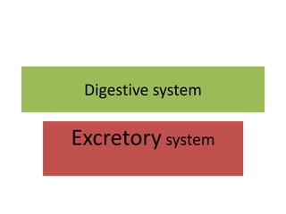 Digestive system
Excretory system
 