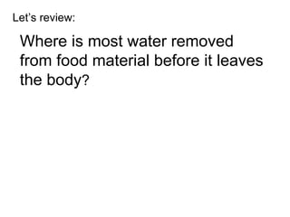 Let’s review: Where is most water removed from food material before it leaves the body ? 