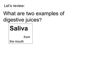 Let’s review: What are two examples of  digestive juices ? Saliva   from the mouth 