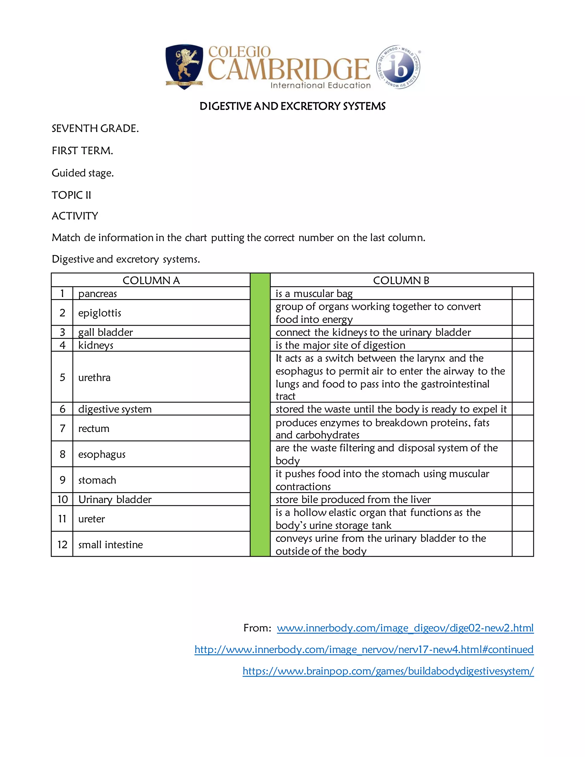Digestive and excretory systems match activity | PDF