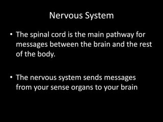 Nervous System
• The spinal cord is the main pathway for
messages between the brain and the rest
of the body.
• The nervous system sends messages
from your sense organs to your brain