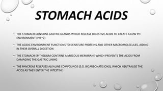 STOMACH ACIDS
• THE STOMACH CONTAINS GASTRIC GLANDS WHICH RELEASE DIGESTIVE ACIDS TO CREATE A LOW PH
ENVIRONMENT (PH ~2)
• THE ACIDIC ENVIRONMENT FUNCTIONS TO DENATURE PROTEINS AND OTHER MACROMOLECULES, AIDING
IN THEIR OVERALL DIGESTION
• THE STOMACH EPITHELIUM CONTAINS A MUCOUS MEMBRANE WHICH PREVENTS THE ACIDS FROM
DAMAGING THE GASTRIC LINING
• THE PANCREAS RELEASES ALKALINE COMPOUNDS (E.G. BICARBONATE IONS), WHICH NEUTRALISE THE
ACIDS AS THEY ENTER THE INTESTINE
 