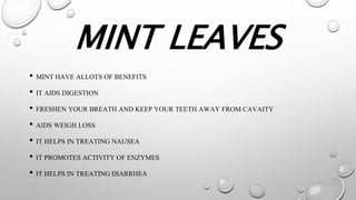 MINT LEAVES
• MINT HAVE ALLOTS OF BENEFITS
• IT AIDS DIGESTION
• FRESHEN YOUR BREATH AND KEEP YOUR TEETH AWAY FROM CAVAITY
• AIDS WEIGH LOSS
• IT HELPS IN TREATING NAUSEA
• IT PROMOTES ACTIVITY OF ENZYMES
• IT HELPS IN TREATING DIARRHEA
 