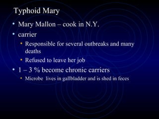 Typhoid Mary
• Mary Mallon – cook in N.Y.
• carrier
  • Responsible for several outbreaks and many
    deaths
  • Refused to leave her job
• 1 – 3 % become chronic carriers
  • Microbe lives in gallbladder and is shed in feces
 