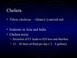 Cholera
• Vibrio cholerae - Gram (-) curved rod

• Endemic in Asia and India
• Cholera toxin
  • Secretion of Cl- leads to H2O loss and diarrhea
  • 12 – 20 liters of fluid per day ( 3 – 5 gallons)
 