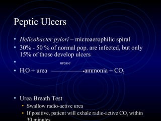 Peptic Ulcers
• Helicobacter pylori – microaerophilic spiral
• 30% - 50 % of normal pop. are infected, but only
  15% of those develop ulcers
•                    urease

• H2O + urea                     ammonia + CO2



• Urea Breath Test
   • Swallow radio-active urea
   • If positive, patient will exhale radio-active CO2 within
 