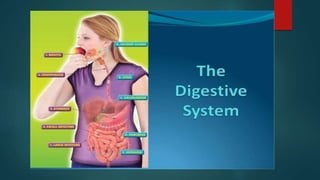 Digestive Disorders Q4.pptx