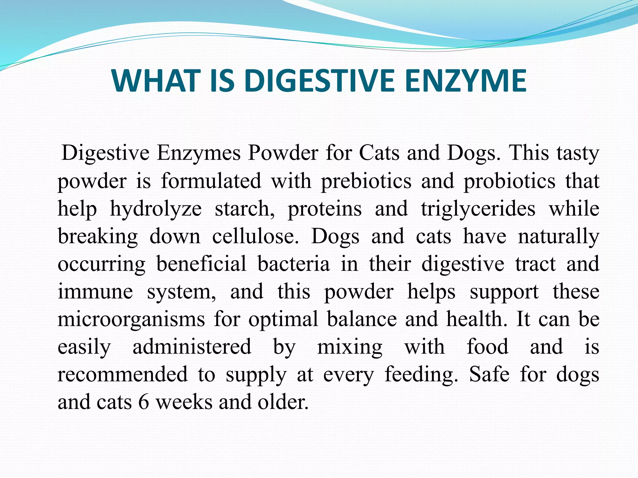 Picture of Digestive Enzyme for Dogs | PPT