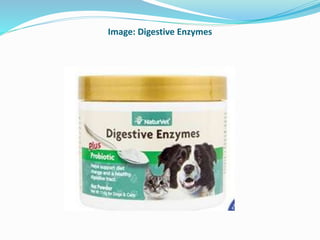 Image: Digestive Enzymes
 