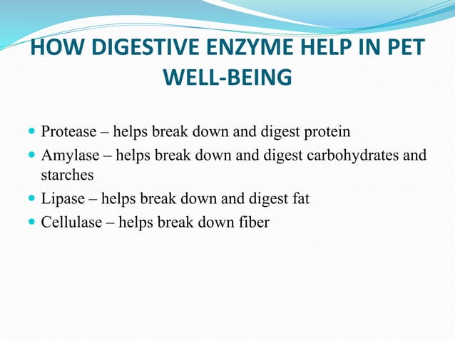 Digestive Enzyme for Dogs | PPT