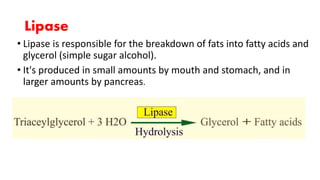 Lipase
• Lipase is responsible for the breakdown of fats into fatty acids and
glycerol (simple sugar alcohol).
• It's produced in small amounts by mouth and stomach, and in
larger amounts by pancreas.
 