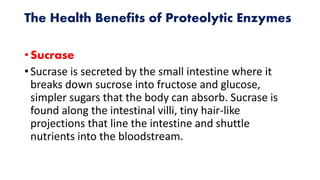 The Health Benefits of Proteolytic Enzymes
• Sucrase
• Sucrase is secreted by the small intestine where it
breaks down sucrose into fructose and glucose,
simpler sugars that the body can absorb. Sucrase is
found along the intestinal villi, tiny hair-like
projections that line the intestine and shuttle
nutrients into the bloodstream.
 