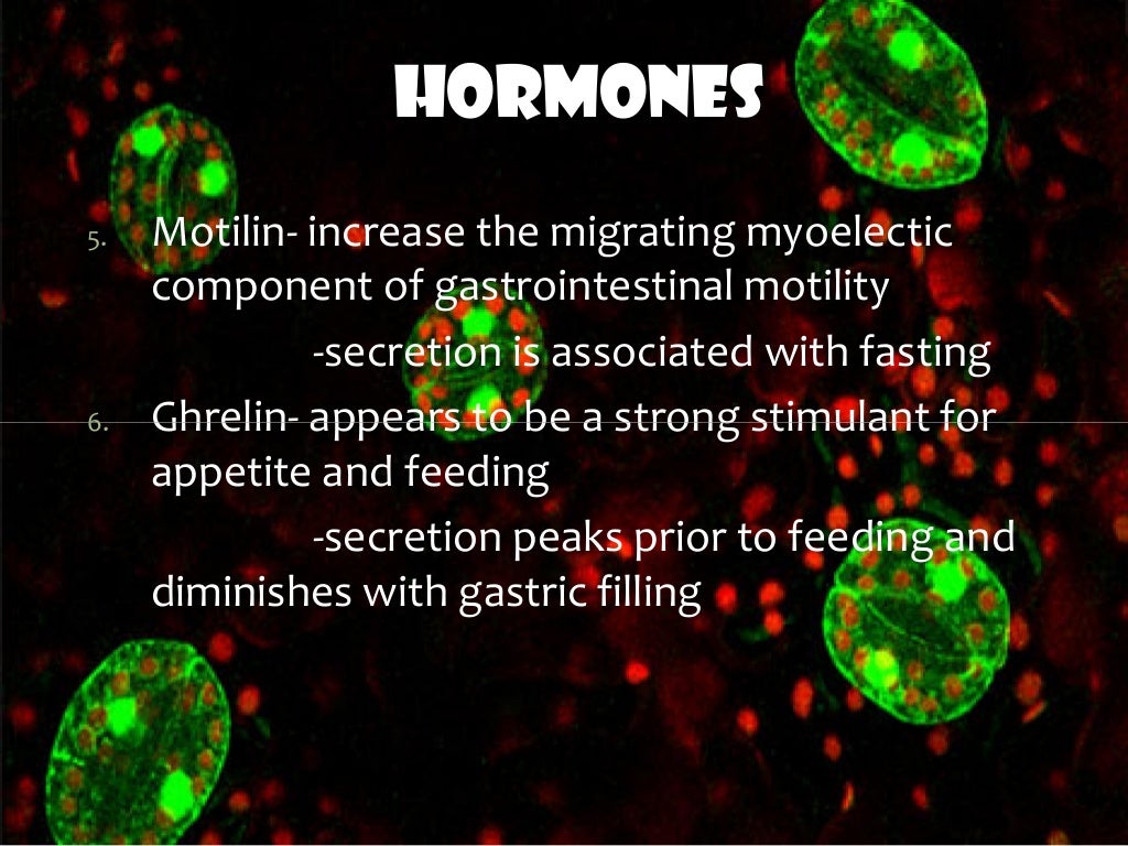 Digestive enzymes and hormones
