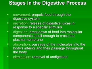 Stages in the Digestive Process   movement:  propels food through the digestive system  secretion : release of digestive juices in response to a specific stimulus  digestion : breakdown of food into molecular components small enough to cross the plasma membrane  absorption : passage of the molecules into the body's interior and their passage throughout the body  elimination:  removal of undigested  