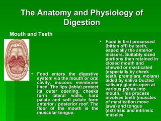 The Anatomy and Physiology of Digestion Food enters the digestive system via the mouth or oral cavity, mucous membrane lined. The lips (labia) protect its outer opening, cheeks form lateral walls, hard palate and soft palate form anterior / posterior roof. The floor of the mouth is the muscular tongue. Food is first processed (bitten off) by teeth, especially the anterior incisors. Suitably sized portions then retained in closed mouth and chewed or masticated (especially by cheek teeth, premolars, molars) aided by saliva Ducted salivary glands open at various points into mouth. This process involves teeth (muscles of mastication move jaws) and tongue (extrinsic and intrinsic muscles  Mouth and Teeth 