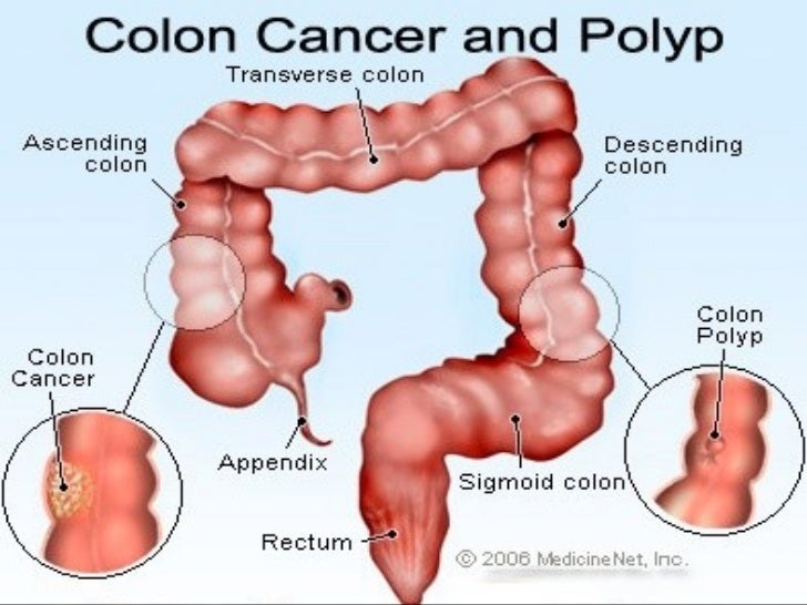 digestive-gastrointestinal-system