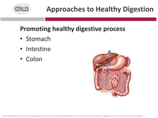 Approaches to Healthy DigestionPromoting healthy digestive processStomachIntestineColon*These Statements have not been evaluated by the Food and Drug Administration. This product is not intended to diagnose, treat, cure or prevent any disease.