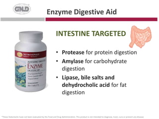 100% plant-sourced, acid-stable enzymes that break down protein and lactose