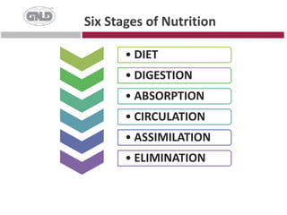 Six Stages of Nutrition
