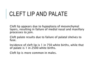 CLEFT LIP AND PALATE
Cleft lip appears due to hypoplasia of mesenchymal
layers, resulting in failure of medial nasal and maxillary
processes to join.
Cleft palate results due to failure of palatal shelves to
fuse.
Incidence of cleft lip is 1 in 750 white births, while that
of palate is 1 in 2500 white births.
Cleft lip is more common in males.
 
