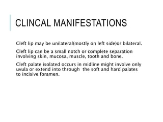 CLINCAL MANIFESTATIONS
Cleft lip may be unilateral(mostly on left side)or bilateral.
Cleft lip can be a small notch or complete separation
involving skin, mucosa, muscle, tooth and bone.
Cleft palate isolated occurs in midline might involve only
uvula or extend into through the soft and hard palates
to incisive foramen.
 