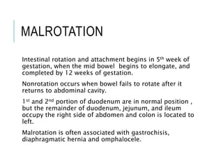 MALROTATION
Intestinal rotation and attachment begins in 5th week of
gestation, when the mid bowel begins to elongate, and
completed by 12 weeks of gestation.
Nonrotation occurs when bowel fails to rotate after it
returns to abdominal cavity.
1st and 2nd portion of duodenum are in normal position ,
but the remainder of duodenum, jejunum, and ileum
occupy the right side of abdomen and colon is located to
left.
Malrotation is often associated with gastrochisis,
diaphragmatic hernia and omphalocele.
 