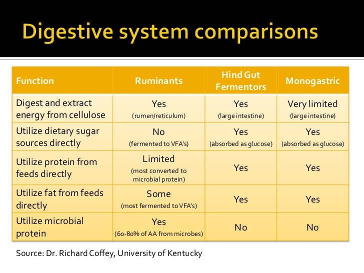 Digestive physiology