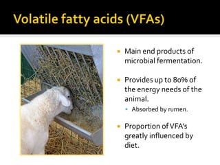    Main end products of
    microbial fermentation.

   Provides up to 80% of
    the energy needs of the
    animal.
     Absorbed by rumen.

   Proportion of VFA’s
    greatly influenced by
    diet.
 