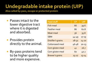    Passes intact to the      Feed stuff            CP     UIP
    lower digestive tract     Fish meal             66     39.6
    where it is digested      Feather meal          86     62.8
    and absorbed.             Meat meal             56     35.8
                              SBM                  44-49   17-19
   Provides protein          Distiller’s grains   28-32   14-20
    directly to the animal.   Cottonseed meal      46-48   20-23
                              Corn gluten meal      41     26.7
   By-pass proteins tend     Corn gluten meal      60     40.2
    to be higher quality      Brewer’s grains      25-27   13-14
    and more expensive.
 