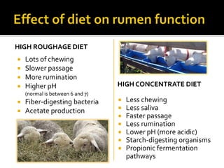 HIGH ROUGHAGE DIET
   Lots of chewing
   Slower passage
   More rumination
   Higher pH                     HIGH CONCENTRATE DIET
    (normal is between 6 and 7)
   Fiber-digesting bacteria         Less chewing
   Acetate production               Less saliva
                                     Faster passage
                                     Less rumination
                                     Lower pH (more acidic)
                                     Starch-digesting organisms
                                     Propionic fermentation
                                      pathways
 