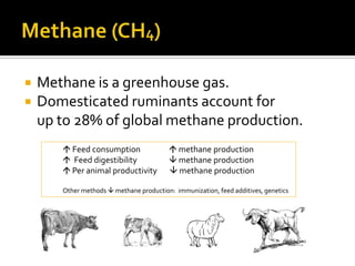    Methane is a greenhouse gas.
   Domesticated ruminants account for
    up to 28% of global methane production.
        Feed consumption                 methane production
        Feed digestibility               methane production
        Per animal productivity          methane production

       Other methods  methane production: immunization, feed additives, genetics
 
