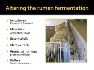    Ionophores
    Rumensin®, Bovatec®

   Microbials
    probiotics, yeast

   Essential oils
   Plant extracts
   Protected nutrients
    protein and lipids

   Buffers
    Sodium bicarbonate
 