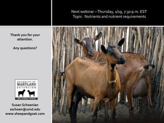 Next webinar – Thursday, 1/19, 7:30 p.m. EST
                       Topic: Nutrients and nutrient requirements



  Thank you for your
     attention.

   Any questions?




   Susan Schoenian
  sschoen@umd.edu
www.sheepandgoat.com
 