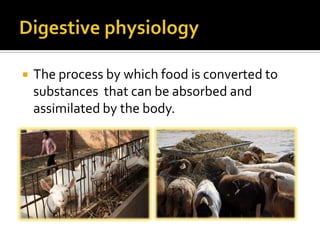    The process by which food is converted to
    substances that can be absorbed and
    assimilated by the body.
 