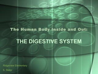 The Human Body Inside and Out: THE DIGESTIVE SYSTEM Ridgeview Elementary S. Slater 