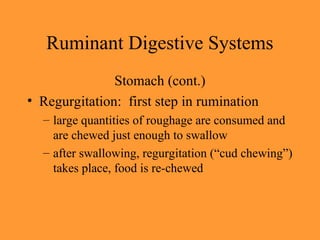 Digestivepowerpoint comparative anatomy.ppt