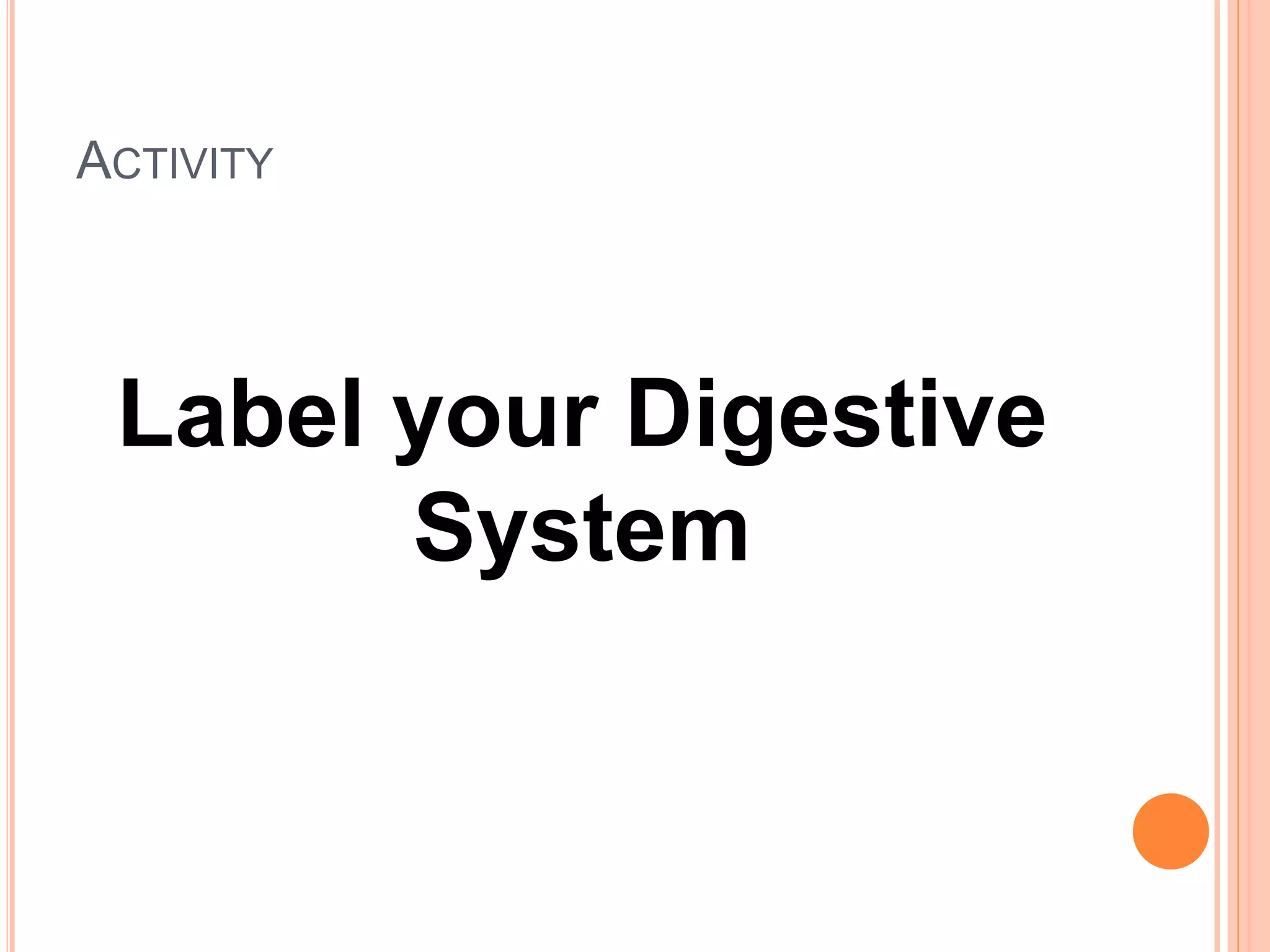 ACTIVITY
Label your Digestive
System
 