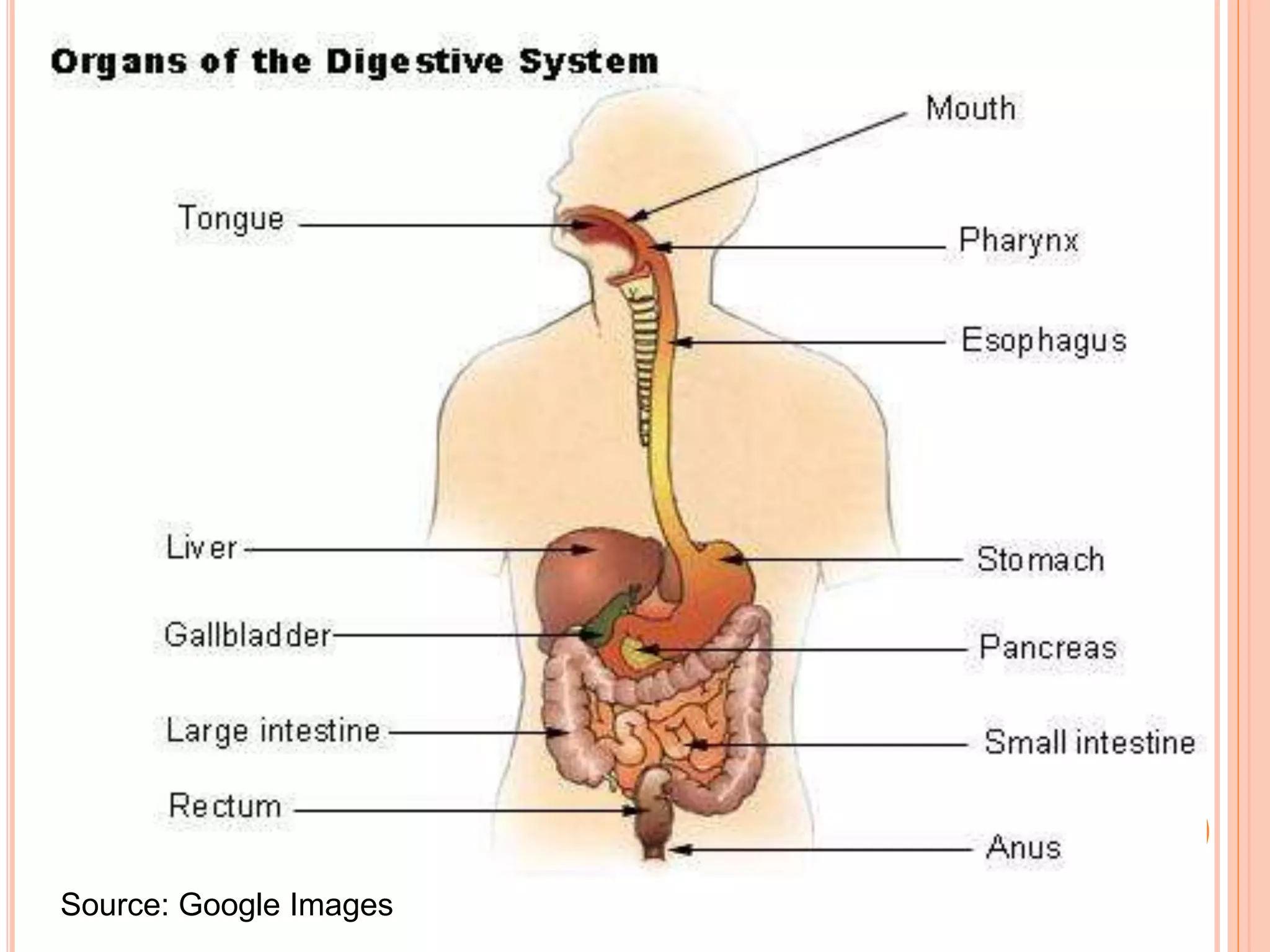 Source: Google Images
 