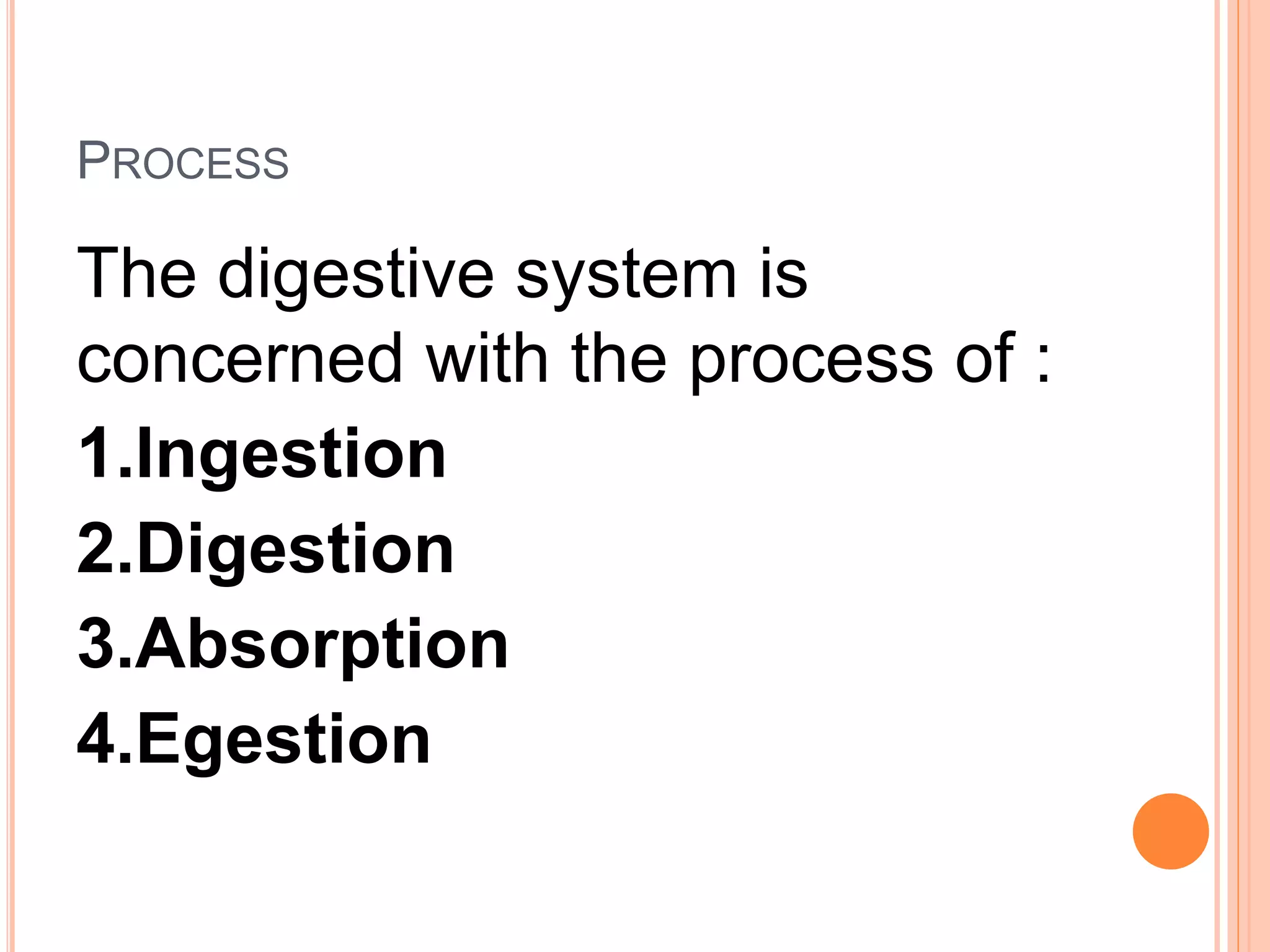PROCESS
The digestive system is
concerned with the process of :
1.Ingestion
2.Digestion
3.Absorption
4.Egestion
 