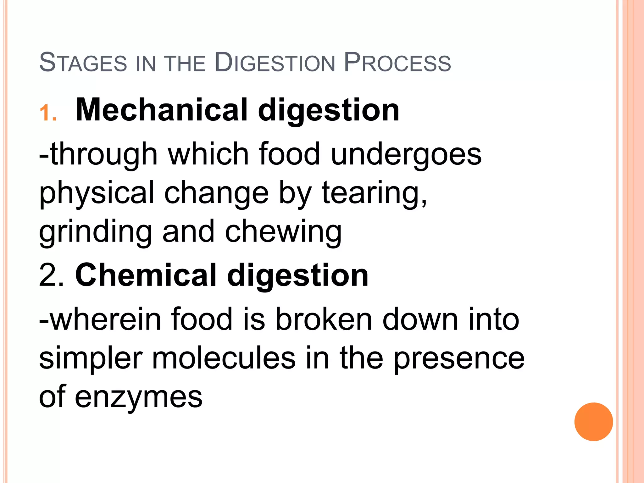 STAGES IN THE DIGESTION PROCESS
1. Mechanical digestion
-through which food undergoes
physical change by tearing,
grinding and chewing
2. Chemical digestion
-wherein food is broken down into
simpler molecules in the presence
of enzymes
 