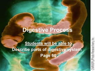 Digestive Process Students will be able to Describe parts of digestive system Page 60 