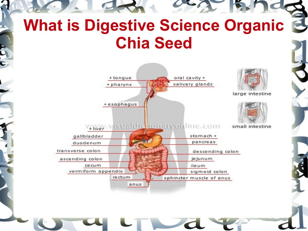 What is Digestive Science Organic Chia Seed