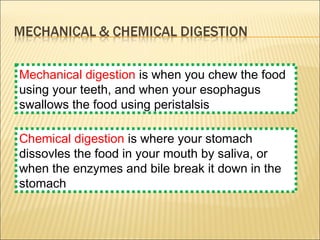 Mechanical digestion is when you chew the food
using your teeth, and when your esophagus
swallows the food using peristalsis
Chemical digestion is where your stomach
dissovles the food in your mouth by saliva, or
when the enzymes and bile break it down in the
stomach